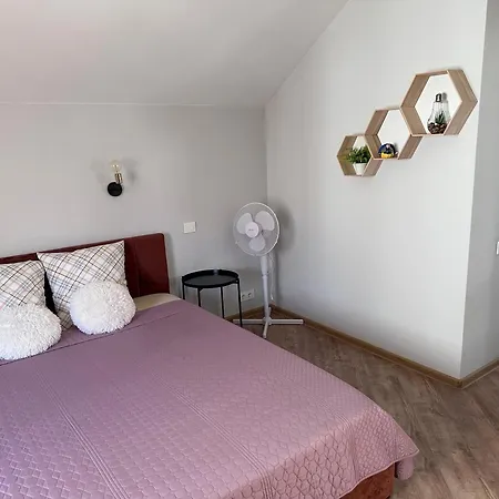 Maironio Apartamentai パランガ